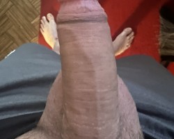 Swinger Hotwife Cuckold User